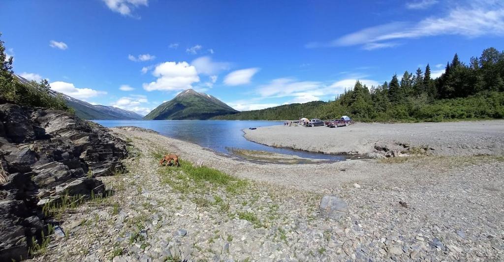 Oyster Lady Homer, Ak エクステリア 写真